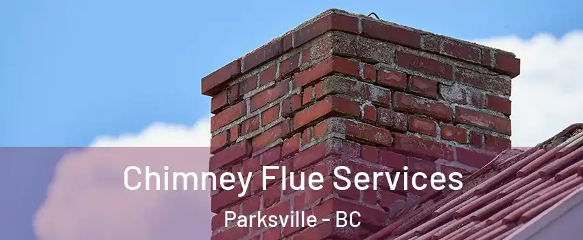  Chimney Flue Services Parksville - BC