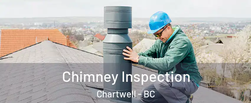  Chimney Inspection Chartwell - BC