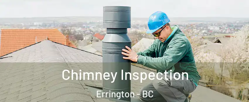  Chimney Inspection Errington - BC