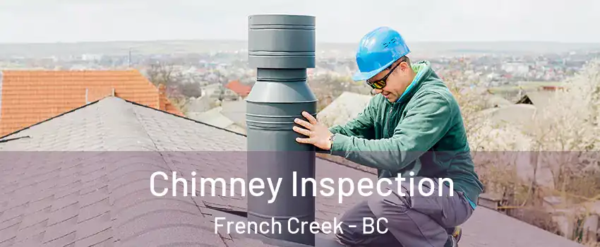  Chimney Inspection French Creek - BC