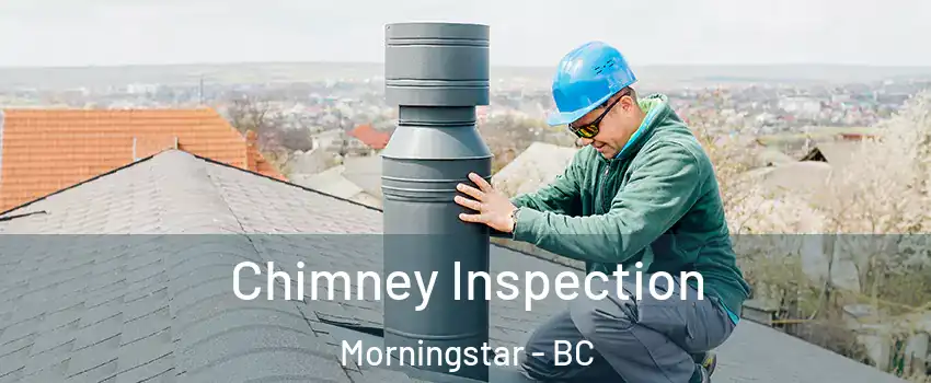  Chimney Inspection Morningstar - BC