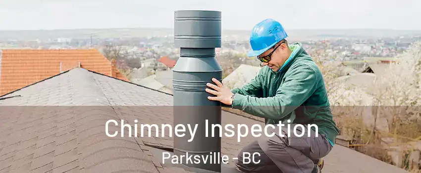  Chimney Inspection Parksville - BC