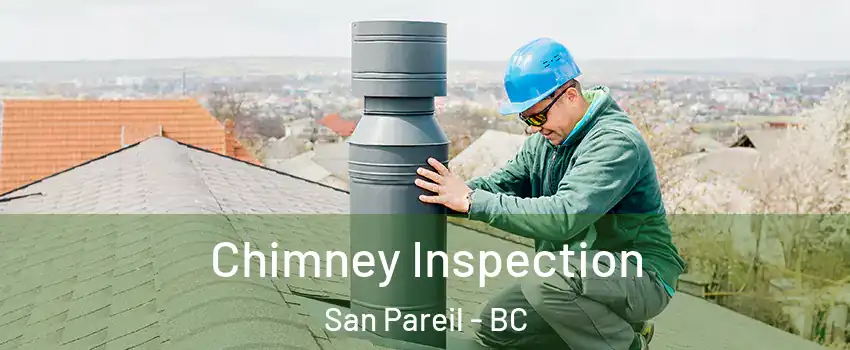  Chimney Inspection San Pareil - BC