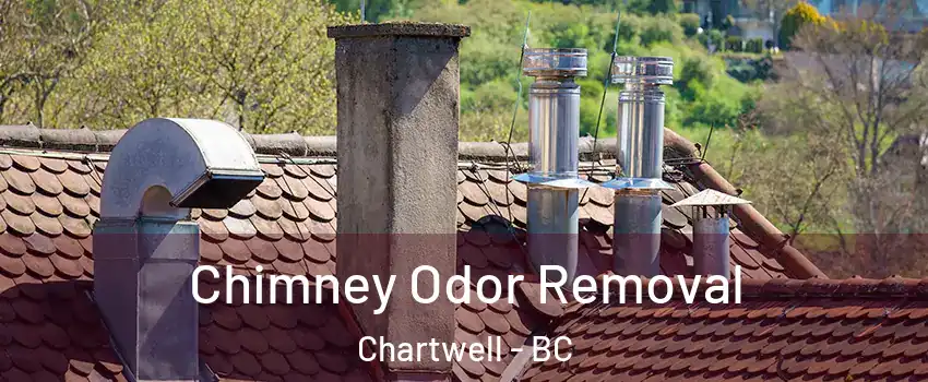  Chimney Odor Removal Chartwell - BC