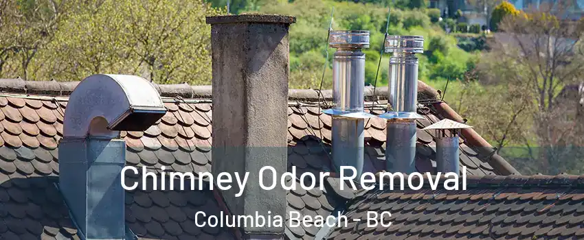  Chimney Odor Removal Columbia Beach - BC