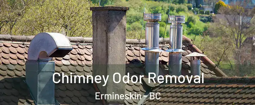  Chimney Odor Removal Ermineskin - BC