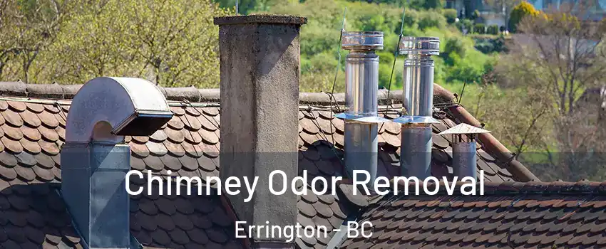  Chimney Odor Removal Errington - BC