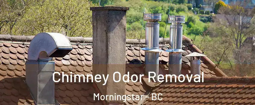  Chimney Odor Removal Morningstar - BC
