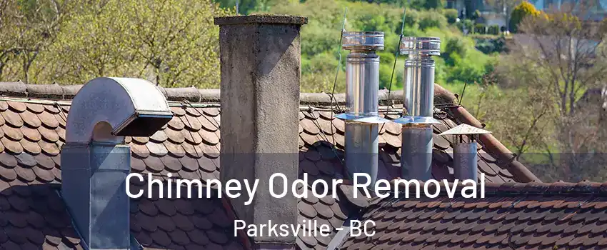  Chimney Odor Removal Parksville - BC