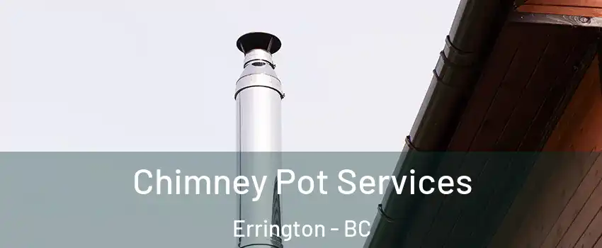  Chimney Pot Services Errington - BC
