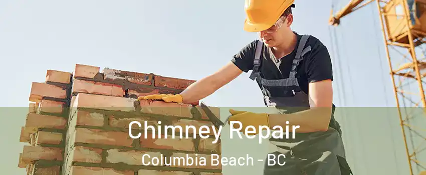  Chimney Repair Columbia Beach - BC