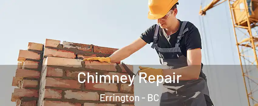  Chimney Repair Errington - BC