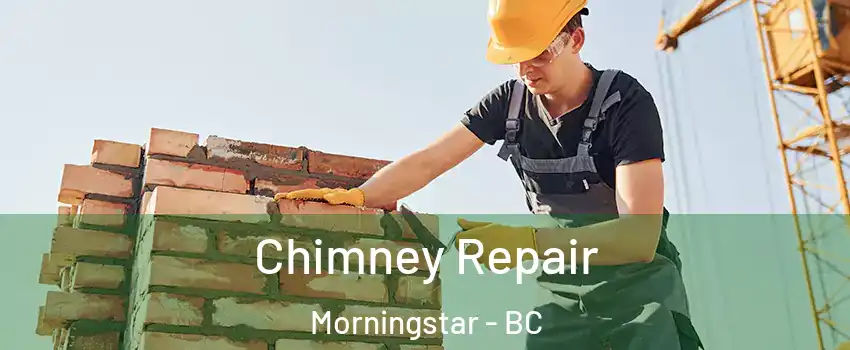  Chimney Repair Morningstar - BC