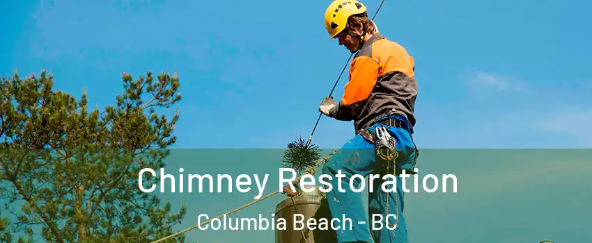  Chimney Restoration Columbia Beach - BC
