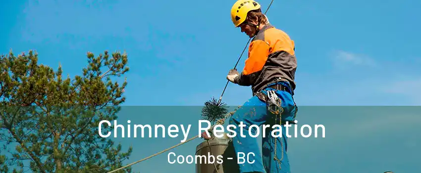  Chimney Restoration Coombs - BC