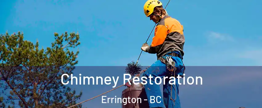  Chimney Restoration Errington - BC