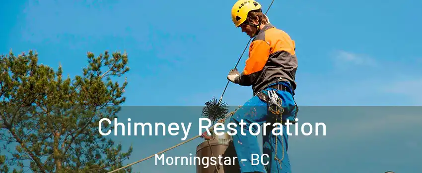  Chimney Restoration Morningstar - BC