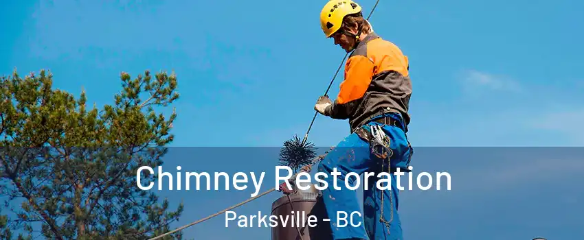  Chimney Restoration Parksville - BC