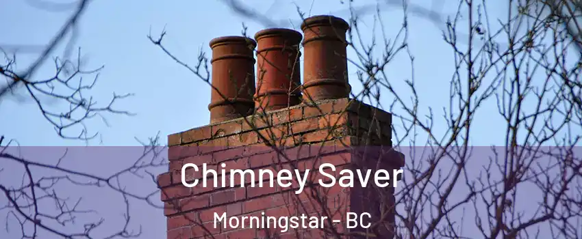  Chimney Saver Morningstar - BC