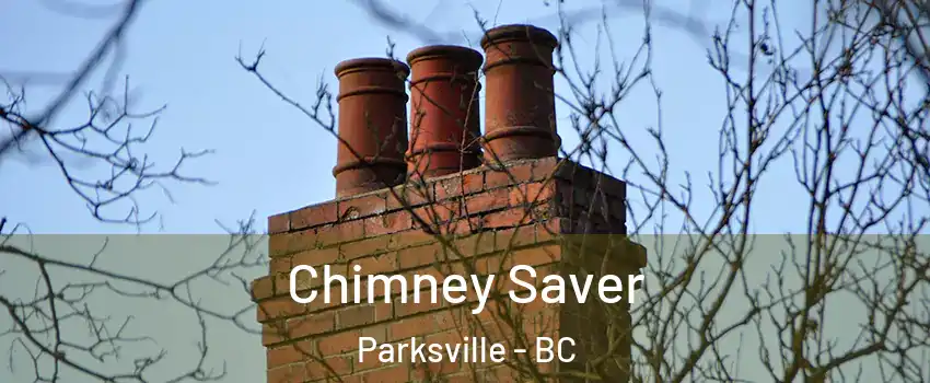  Chimney Saver Parksville - BC