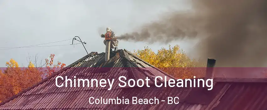  Chimney Soot Cleaning Columbia Beach - BC
