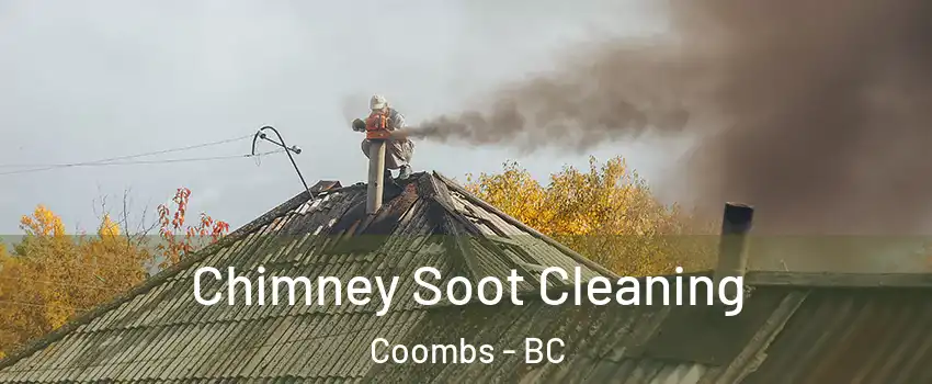  Chimney Soot Cleaning Coombs - BC