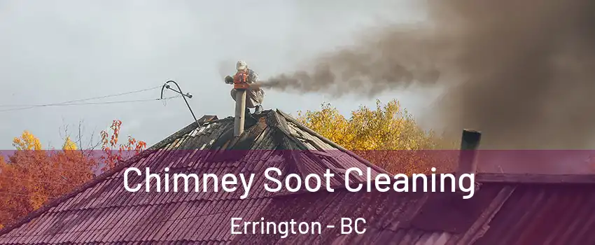  Chimney Soot Cleaning Errington - BC