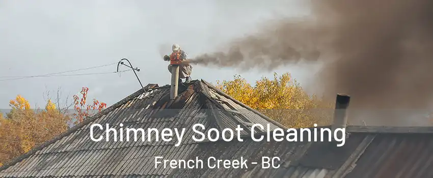  Chimney Soot Cleaning French Creek - BC