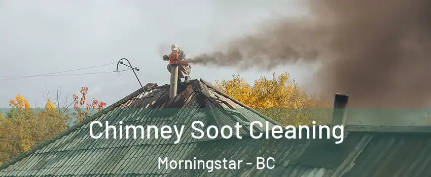  Chimney Soot Cleaning Morningstar - BC