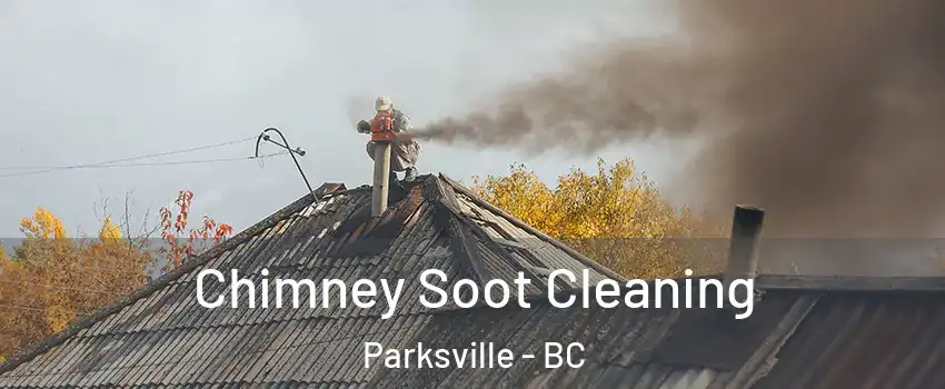  Chimney Soot Cleaning Parksville - BC