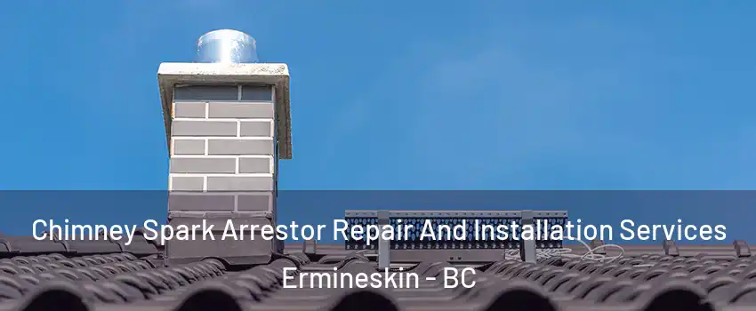  Chimney Spark Arrestor Repair And Installation Services Ermineskin - BC