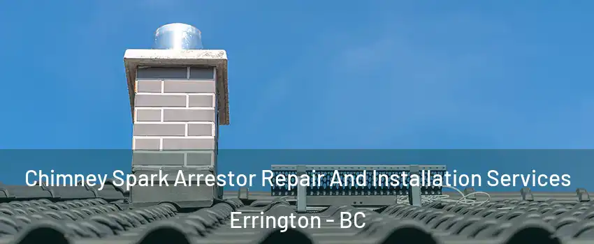  Chimney Spark Arrestor Repair And Installation Services Errington - BC