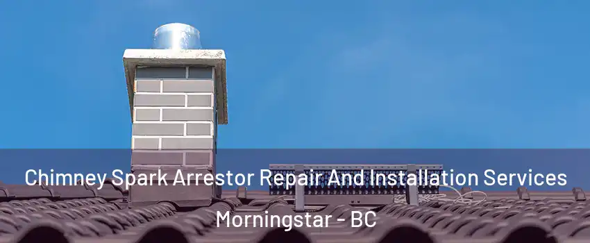  Chimney Spark Arrestor Repair And Installation Services Morningstar - BC