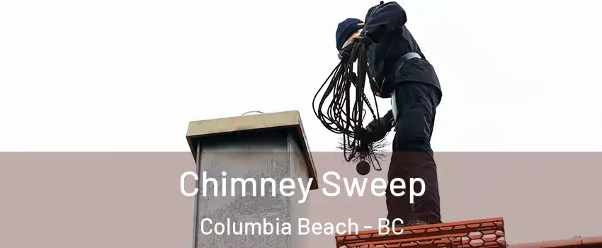  Chimney Sweep Columbia Beach - BC