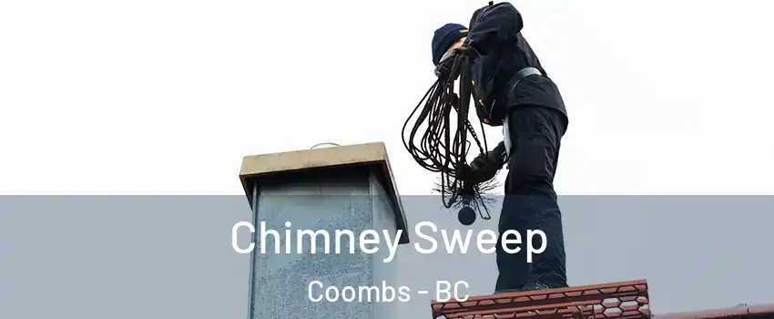  Chimney Sweep Coombs - BC