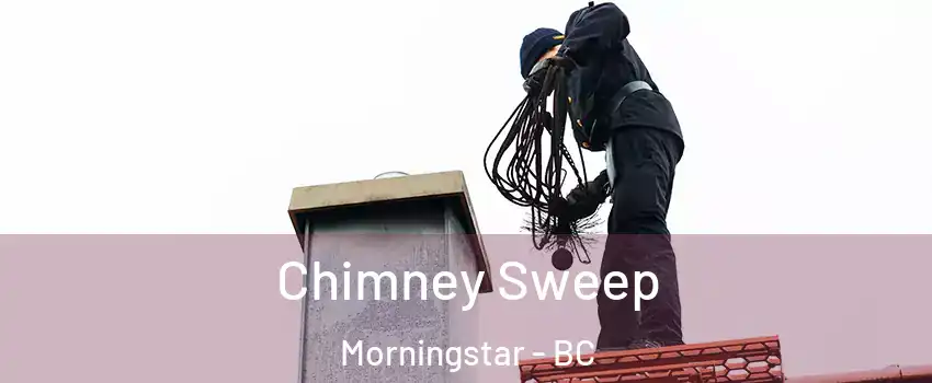  Chimney Sweep Morningstar - BC