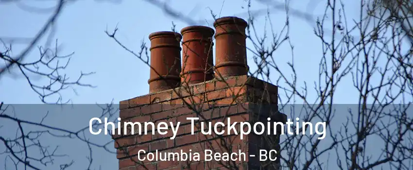  Chimney Tuckpointing Columbia Beach - BC