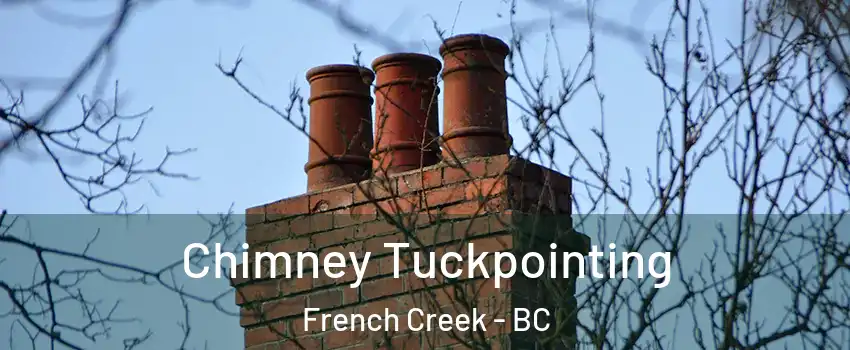  Chimney Tuckpointing French Creek - BC
