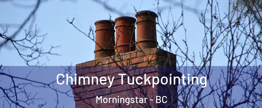  Chimney Tuckpointing Morningstar - BC