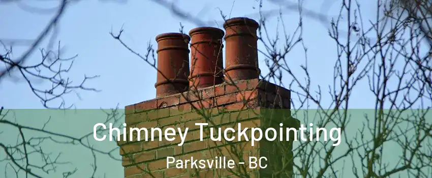  Chimney Tuckpointing Parksville - BC