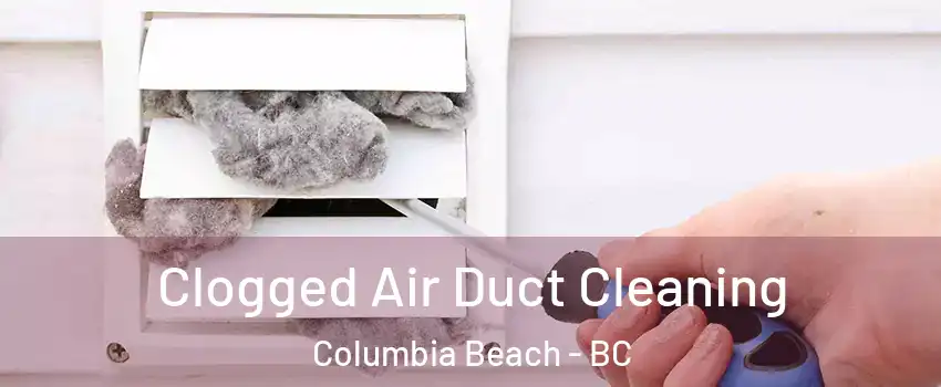  Clogged Air Duct Cleaning Columbia Beach - BC