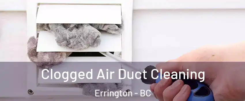  Clogged Air Duct Cleaning Errington - BC