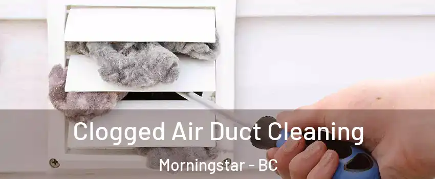  Clogged Air Duct Cleaning Morningstar - BC