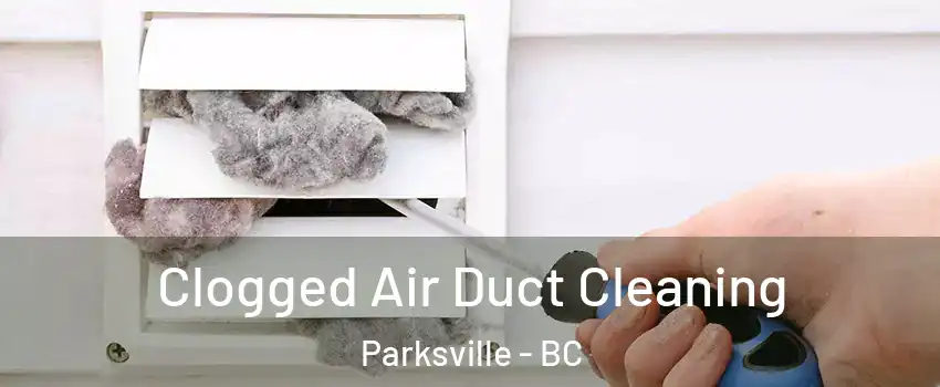  Clogged Air Duct Cleaning Parksville - BC