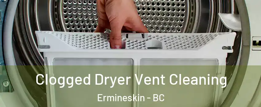  Clogged Dryer Vent Cleaning Ermineskin - BC
