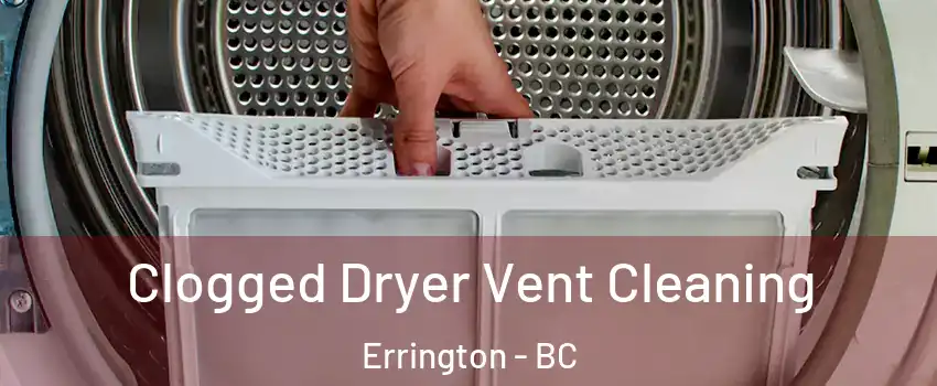  Clogged Dryer Vent Cleaning Errington - BC