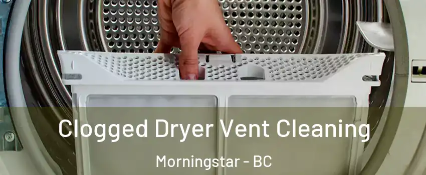  Clogged Dryer Vent Cleaning Morningstar - BC