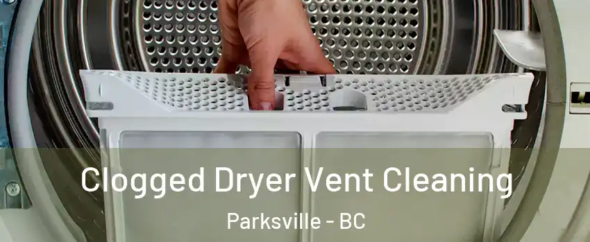  Clogged Dryer Vent Cleaning Parksville - BC