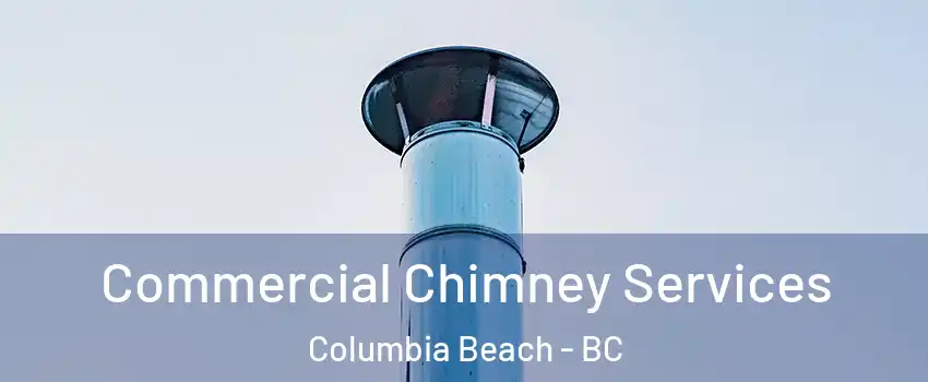  Commercial Chimney Services Columbia Beach - BC