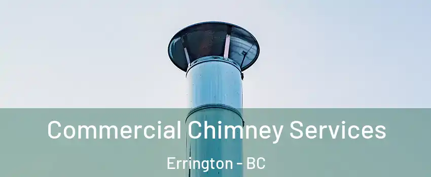 Commercial Chimney Services Errington - BC